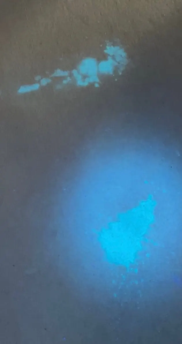 UV torch revealing a pet urine patch