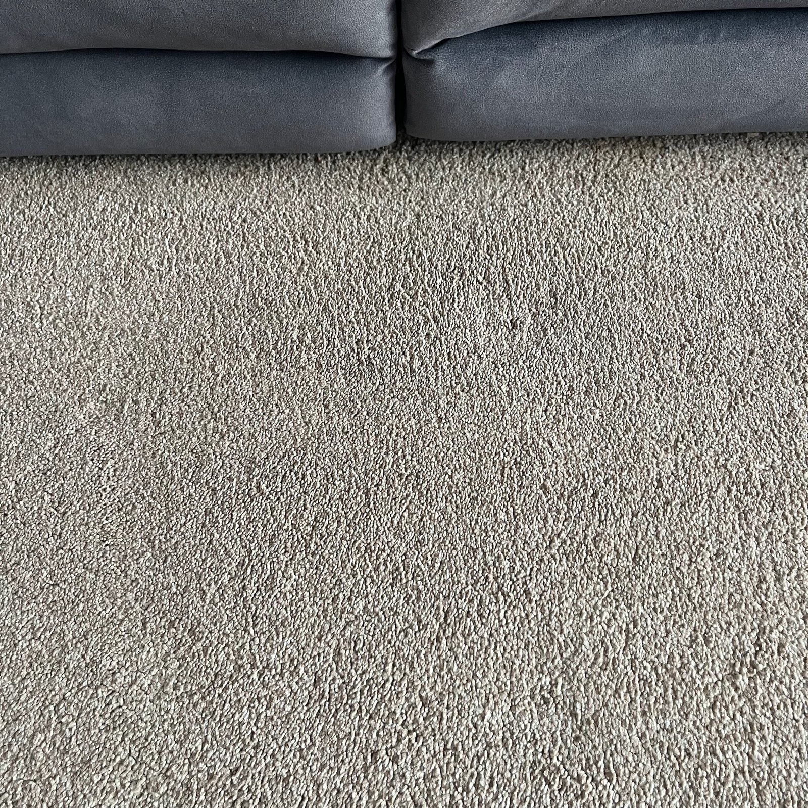 Carpet stain removal — after cleaning