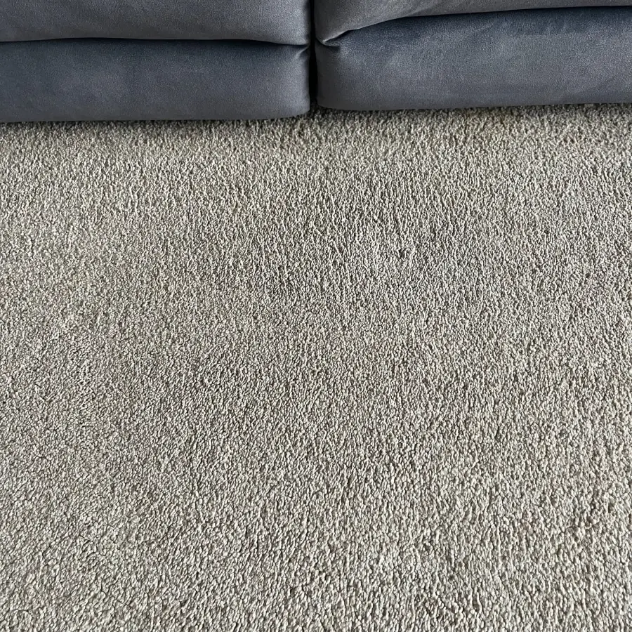 The same carpet stain-free after cleaning