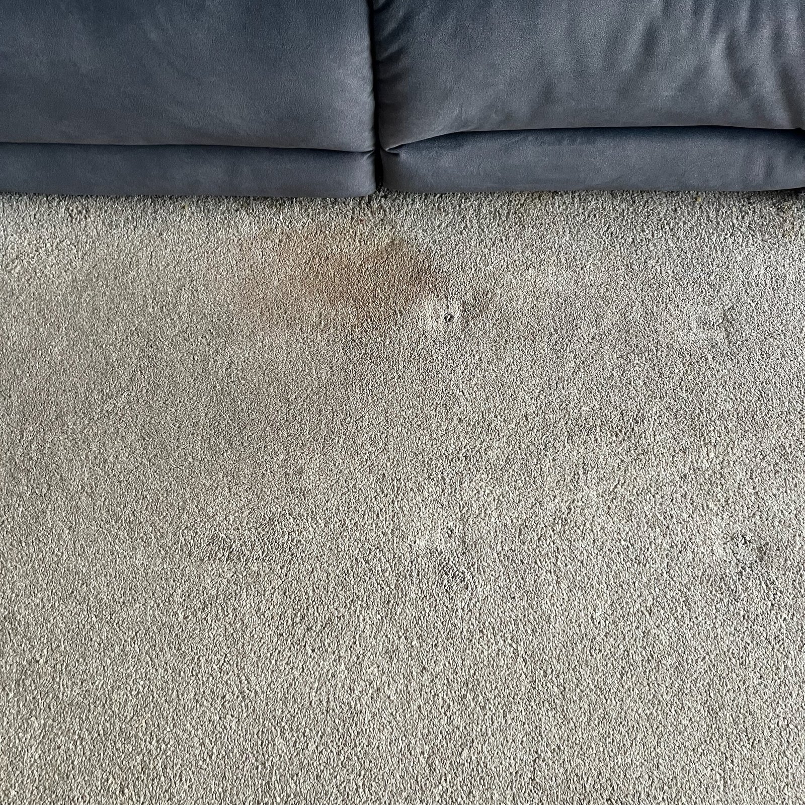 Carpet stain removal — before cleaning
