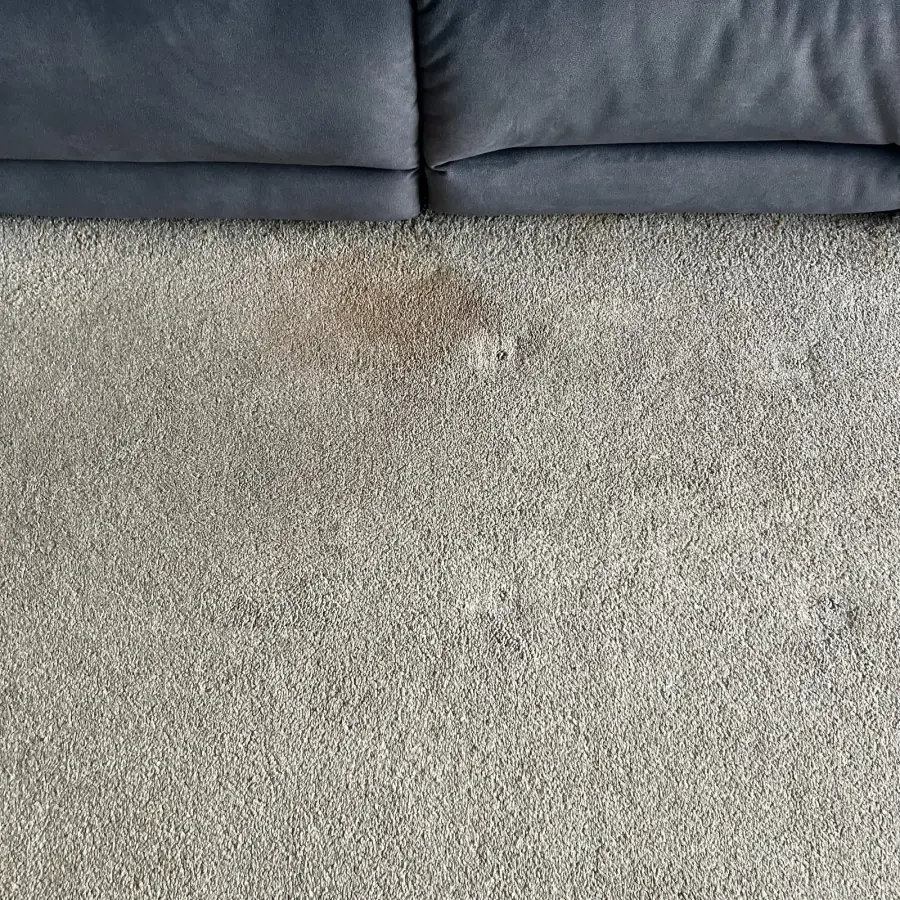 Carpet with a visible stain before cleaning