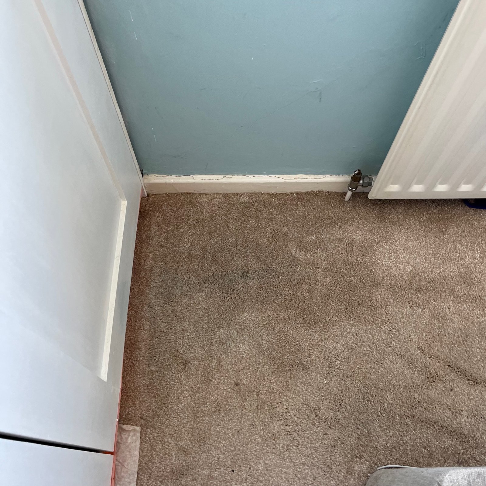 Specialist paint stain — after cleaning