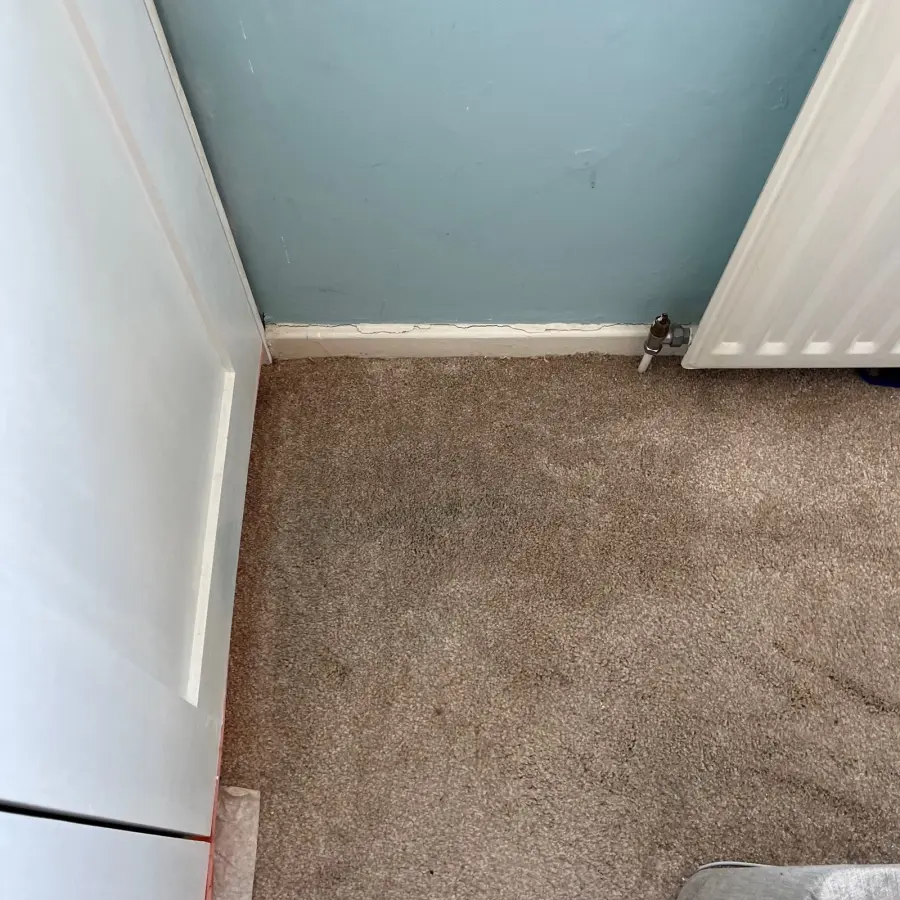 Specialist paint stain — after cleaning