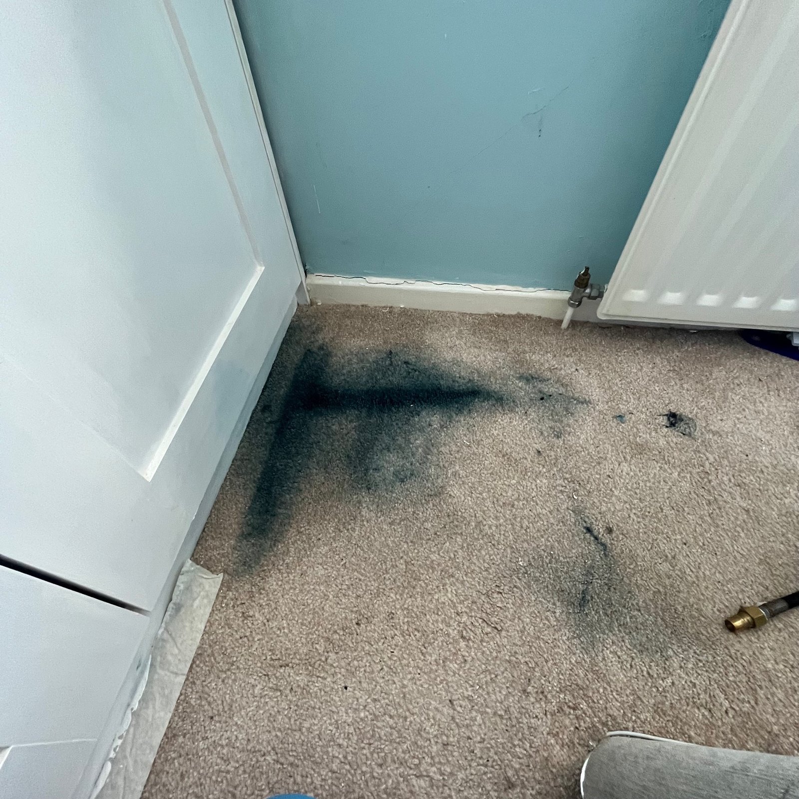 Specialist paint stain — before cleaning