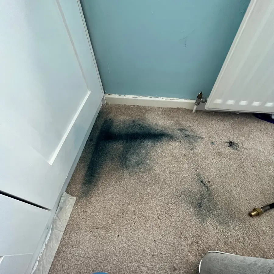 Specialist paint stain — before cleaning