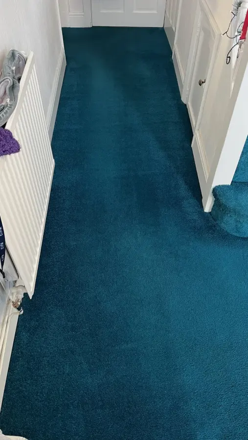 Pet urine on wool carpet — after cleaning