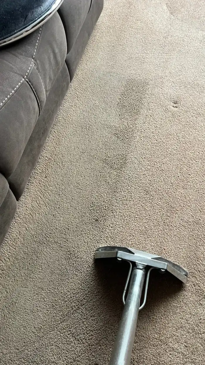 Professional hot-water carpet extraction in action