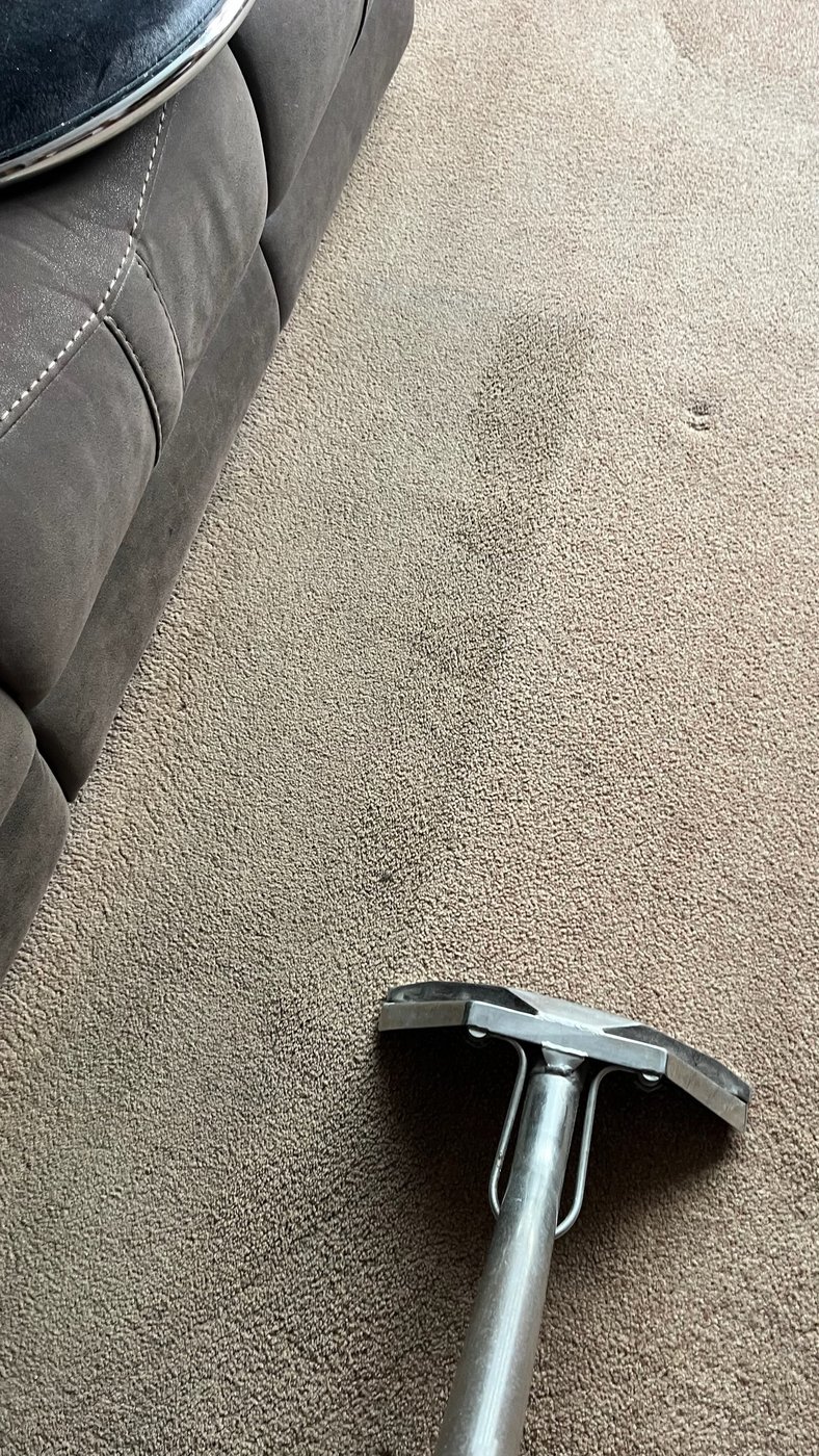 Carpet cleaning in action — a visible dirt line between cleaned and uncleaned sections